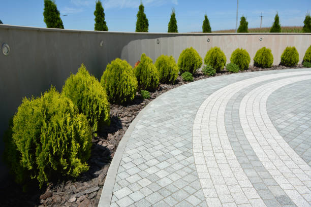 Best Driveway Pavers for Homes  in Noroton, CT